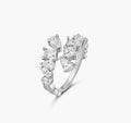 Anillo de racimo