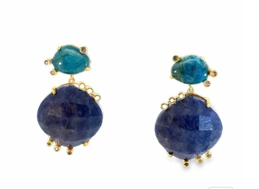 Gem Stone Luxe Earrings