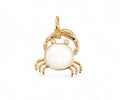 Mother-of-pearl crab